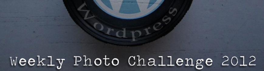 Weekly Photo Challenge 2012 Top Header 960x260px. Blue 