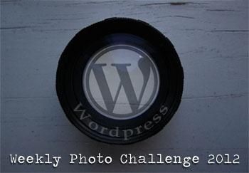 Weekly Photo Challenge 2012 by CardinalGuzman.wordpress.com. 350px