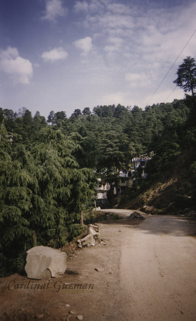 road in Dharamasala