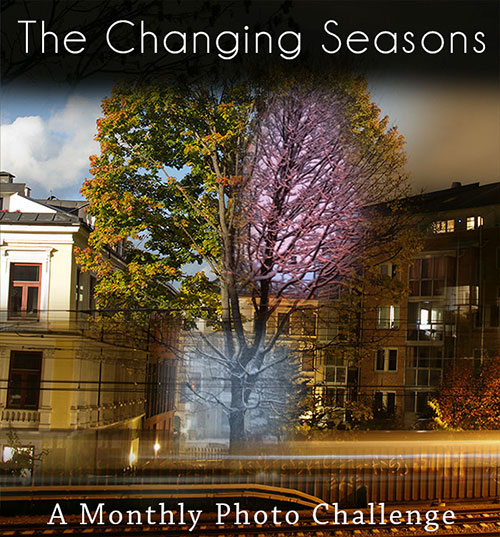 The Changing Seasons - a monthly photo challenge
